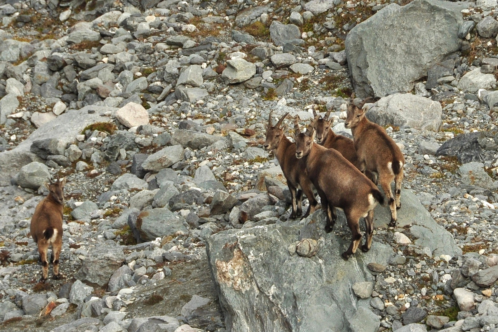 Saint-Bon-Tarentaise